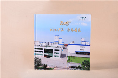同心共赢-益海嘉里粮油领导纪念册,金龙鱼公司庆典纪念册